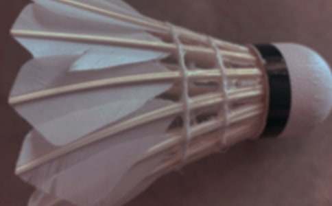 ��ë���ܽ�