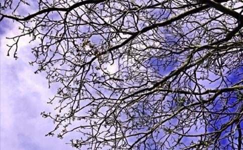 �򵥵Ķ��˵��簲�ʺ������34��