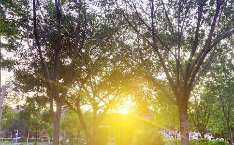 �򵥵�����ϵ�簲�ʺ�����¼ժ¼67��