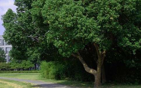 2026�꾫ѡ���˵��簲�ʺ�����¼31��