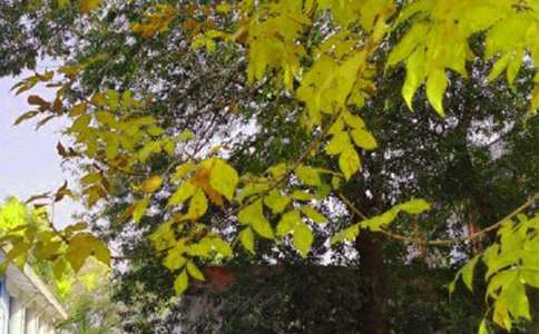 ���ر���2026�������簲�ʺ�������60��