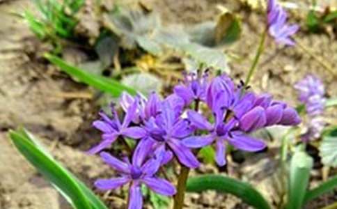 2026���̵�ף��������簲΢���ʺ���21��