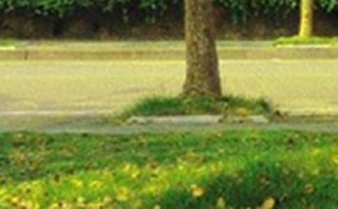 �����������簲�ʺ�����¼26��