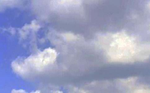 2026�����ף��������簲QQ�ʺ���35��