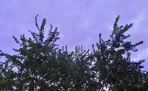 ����Ψ�����簲�ʺ������43��