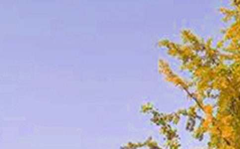 �����������簲����Ȧ�ʺ���ժ¼58��