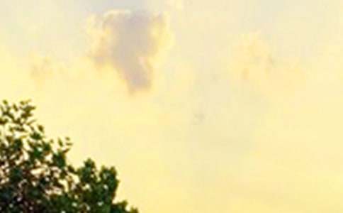 ��ѡ�ʺ����Ϸ����簲����Ȧ�ʺ���󼯺�66��