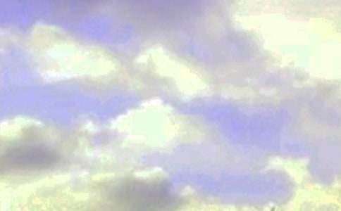 2026�꾭���簲����Ȧ�ʺ��Ｏ��46��