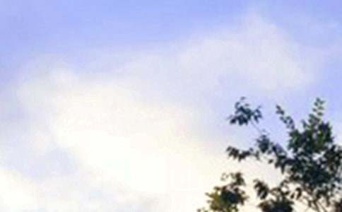 ���Ƽ���2023�����õ��簲΢��ף����17��