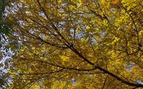 �й������簲΢���ʺ���20��