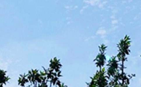 2026��ͨ��ÿ��һǩ�簲�ʺ���󼯺�68��