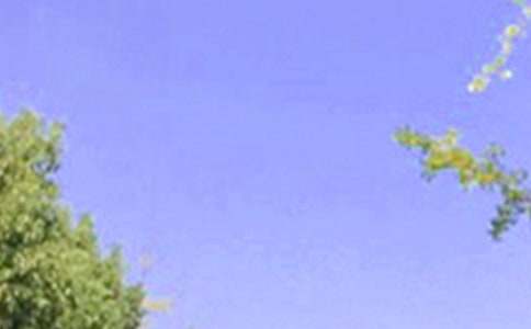 2026�곣��ÿ��һ���簲�ʺ�����¼29��