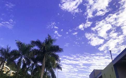 ���ر���2026�������簲QQ�ʺ�������73��