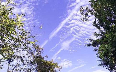 ��̵��ʺϸ����ѵ��簲����Ȧ�ʺ���33��