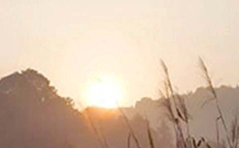 2026������°��簲�ʺ�����¼36��