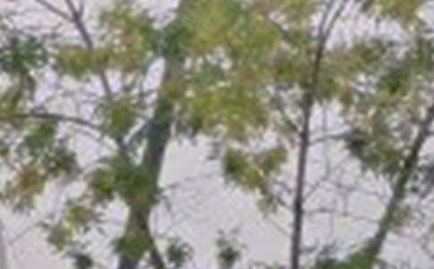 ���ر��������簲΢���ʺ�����50��