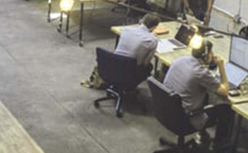 ְ��������ְ����(15ƪ)