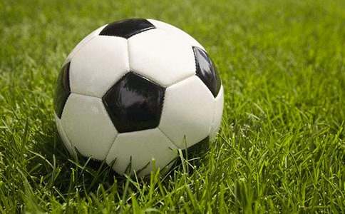 ����ѵ�������ƻ�