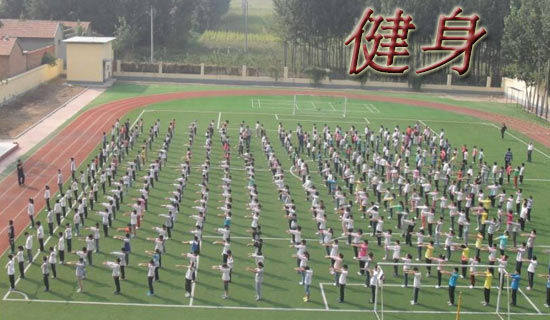 �����������ܽ�(����12ƪ)