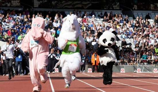 �����š��˶����ܽ�