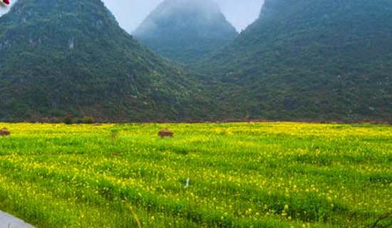 Сѧ���λ�ܽ�